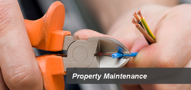 Property Maintenance